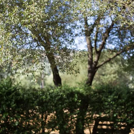 Appartement αγροικία Mυλόδεση Kalavryta